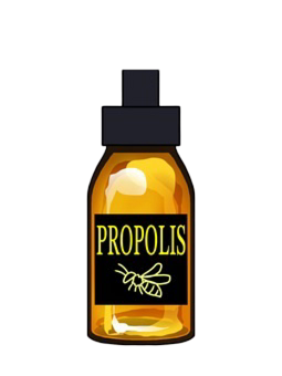 propolis_kapi